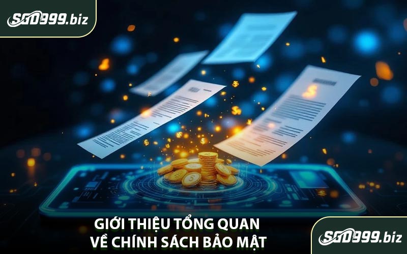 Giới Thiệu Tổng Quan Về Chính Sách Bảo Mật