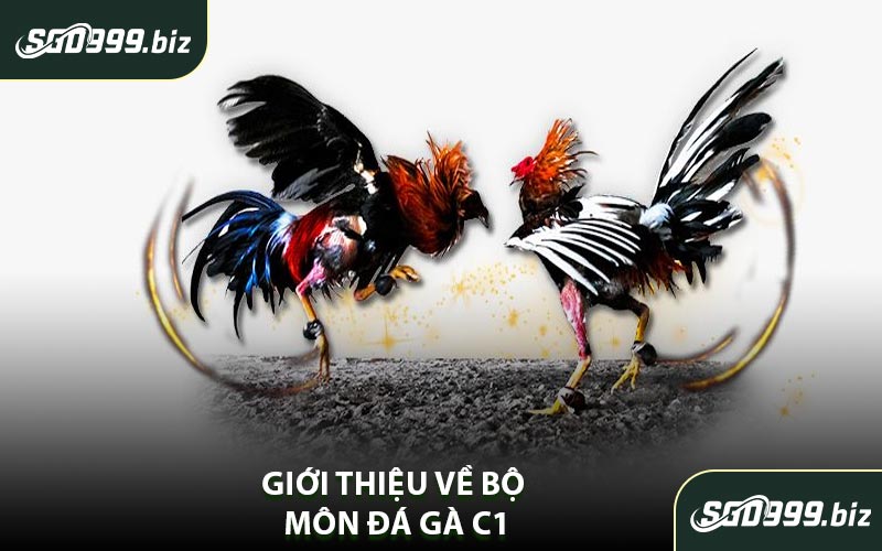 Giới Thiệu Về Bộ Môn Đá Gà C1