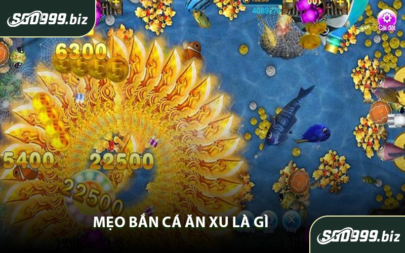 Mẹo Bắn Cá Ăn Xu Là Gì