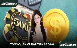 Tổng Quan Về Nạp Tiền SGD999