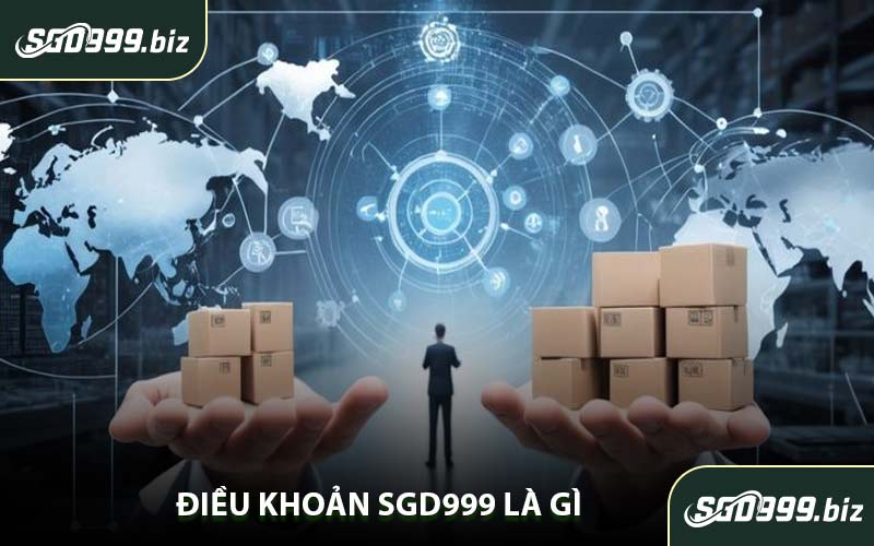 Điều Khoản SGD999 Là Gì