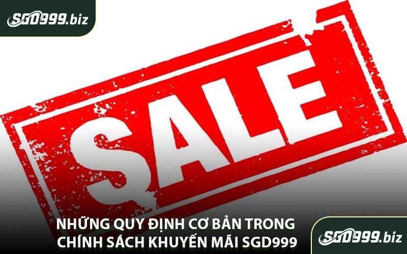 Những Quy Định Cơ Bản Trong Chính Sách Khuyến Mãi SGD999