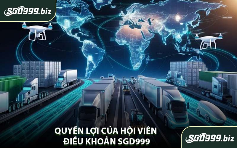 Quyền Lợi Của Hội Viên Điều Khoản SGD999